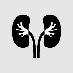 kidney disease paper icon. Stones in the kidneys. Pyelonephritis. Urolithiasis disease