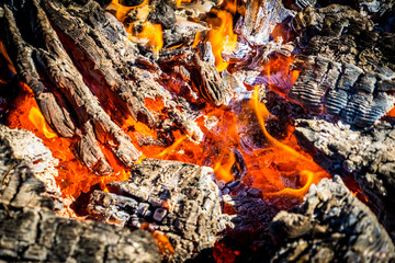 Burning wood. Photograph of the dying fire.