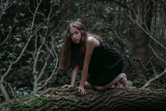 girl crawling on a tree on her knees