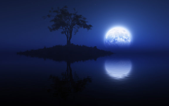 Calm Lake With One Tree Island In Full Moon Night
