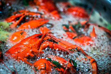 crayfish cook in water with spices and herbs.