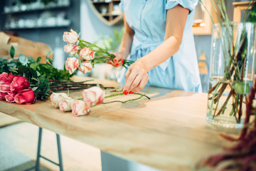 Florist makes rose composition in flower shop