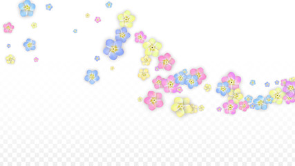 Colorful Vector Realistic Petals Falling on Transparent Background.  Spring Romantic Flowers Illustration. Flying Petals. Sakura Spa Design. Blossom Confetti. Design Elements for Wedding Decoration.