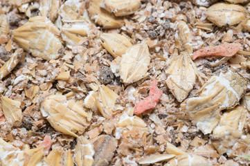  natural  muesli  background with barley and carrot. for horse.  macro shot