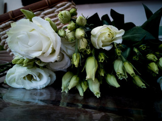 pretty eustoma lisianthus on simple background
