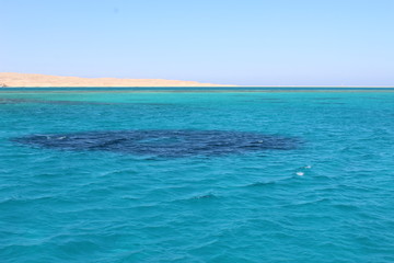 sea and blue sky