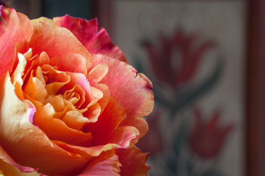 Rosenblüte Makro, im Hintergrund bemalter Bauernschrank