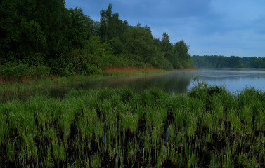 Landscape on the lake before the rain.