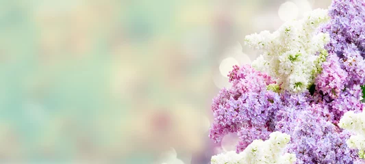 Foto op Plexiglas Verse lila bloemen © neirfy