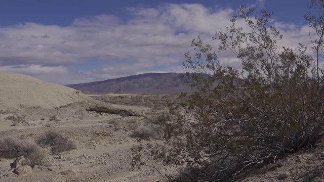 Desert Wash And Greese Wood