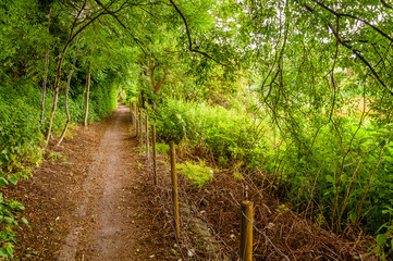 Footpath in Channelsea River near Mill Meads