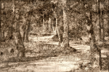 Sketch of a Walking Path Through the Autumn Forest
