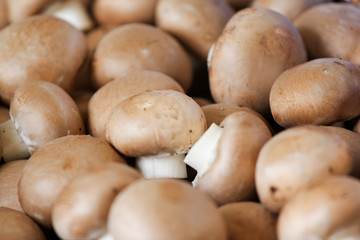 Common brown champignon mushroom sold on the market