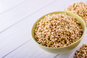 Sprouts of green buckwheat in a bowl. Macro shot. Raw buckwheat.