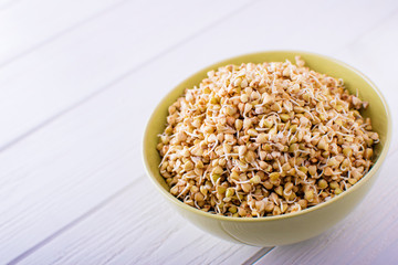Sprouts of green buckwheat in a bowl. Macro shot. Raw buckwheat.