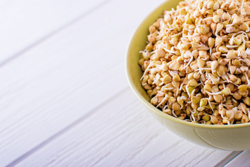 Sprouts of green buckwheat in a bowl. Macro shot. Raw buckwheat.