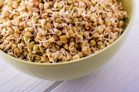 Sprouts of green buckwheat in a bowl. Macro shot. Raw buckwheat.