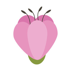 Fototapeta premium Beautiful flower cartoon isolated