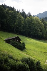 Fototapeta na wymiar Half Dome Rock Landscape Meadow in Austria 