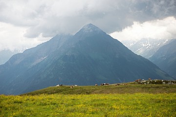 Fototapeta premium Half Dome Rock Landscape Meadow in Austria 