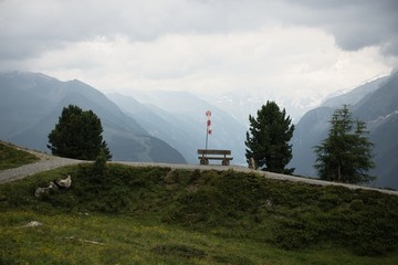 Fototapeta na wymiar Half Dome Rock Landscape Meadow in Austria 