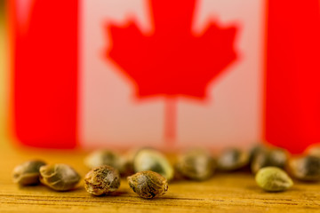 Medical Cannabis Seeds - macro view of thc cbd medical seeds on Canada flag and piece of oak wood.