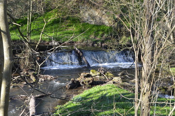 Remains of mill and its lades at Craigmill Den, Carnoustie, Scotland