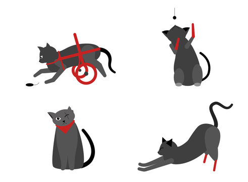 Collection of cute cats with disabilities. A bunch of happy pets or pets with artificial legs or artificial legs. Colorful vector illustration in flat cartoon style. On a white background
