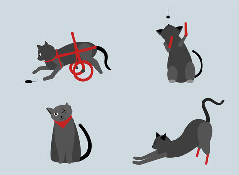 Collection of cute cats with disabilities. A bunch of happy pets or pets with artificial legs or artificial legs. Colorful vector illustration in flat cartoon style. On a blue background