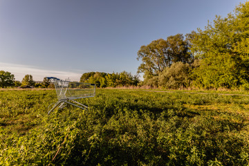 die berliner tafel runde