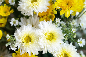 Bunch of flowers for background