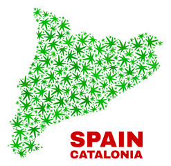 Vector cannabis Catalonia map mosaic. Concept with green weed leaves for weed legalize campaign. Vector Catalonia map is designed from weed leaves.