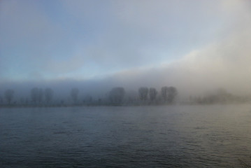 Rheinufer im Nebel
