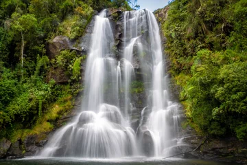  waterfall in forest © Eduardo