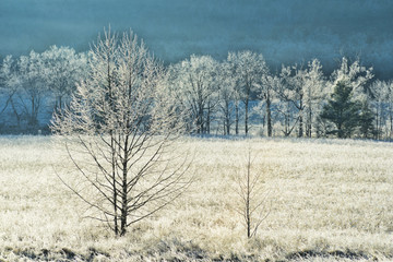 Snow on the fields and buildings of Cades Cove.