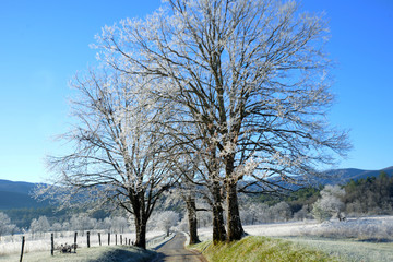 Fototapeta premium Snow on the fields and buildings of Cades Cove.