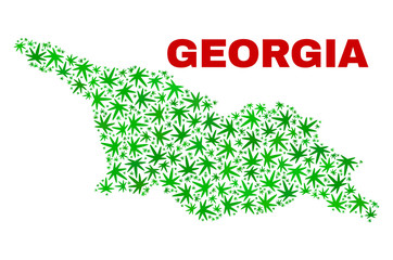 Vector cannabis Georgia map mosaic. Template with green weed leaves for cannabis legalize campaign. Vector Georgia map is constructed with cannabis leaves.
