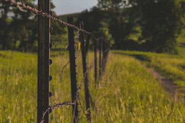 Obraz premium Barbed Wire Fence Nature Grassland Field