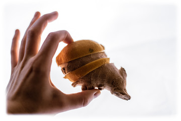 Im Zeitgeist der welt