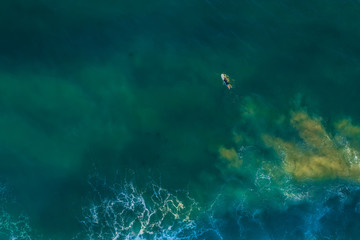 Fototapeta na wymiar Lonely surfer lying on surfboard in vast ocean - aerial view with copy space