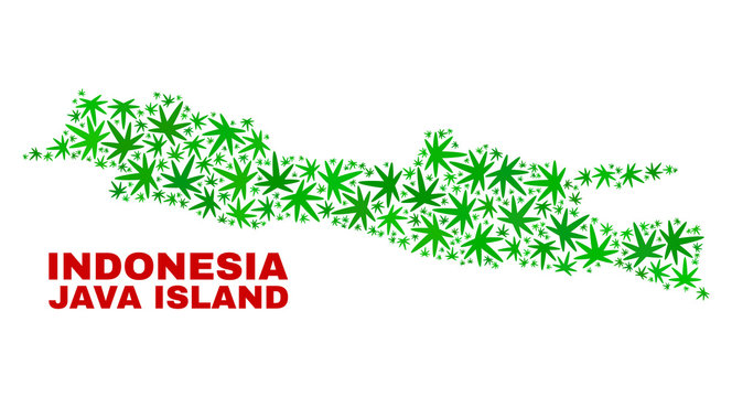 Vector marijuana Java Island map mosaic. Template with green weed leaves for weed legalize campaign. Vector Java Island map is created with weed leaves.