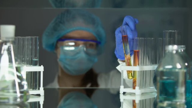 Lab assistant studying meat sample with magnifying glass, helminth analysis