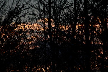 Fototapeta premium winter sonnen wände