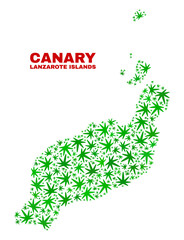 Vector marijuana Lanzarote Islands map collage. Concept with green weed leaves for marijuana legalize campaign. Vector Lanzarote Islands map is designed with marijuana leaves.
