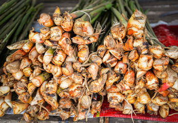 Fresh trunk young galangal from agriculture farm vegetable organic galangal in the market