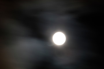 tausend und eine nacht