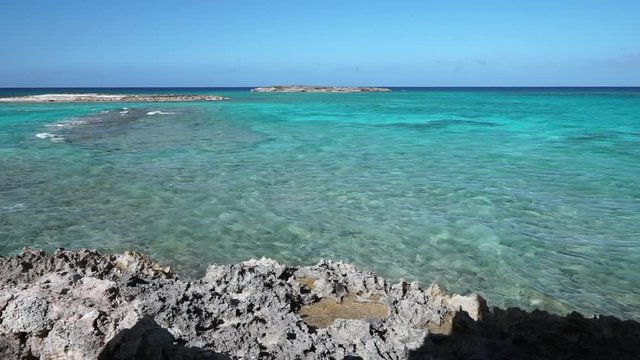A Caribbean coral foreground at the waters edge showing the crystal clear turquoise water in the Bahamas