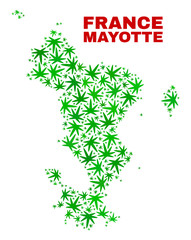 Vector cannabis Mayotte Islands map mosaic. Concept with green weed leaves for weed legalize campaign. Vector Mayotte Islands map is formed of weed leaves.