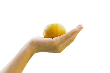 Hand holding orange on isolated background