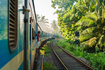 Ella to Kandy among tea plantations in highlands of Sri Lank